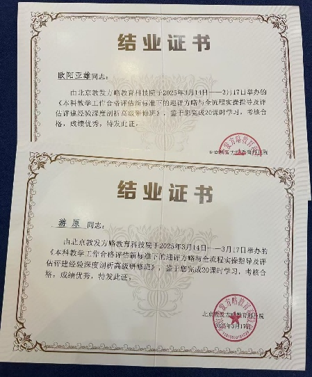 图片11.png